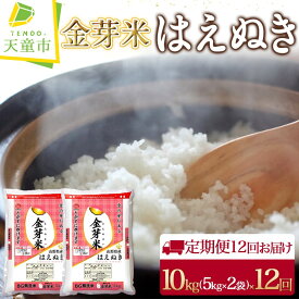 【ふるさと納税】 金芽米 はえぬき 定期便 10kg / 5kg×2袋 12回 お届け令和5年産 米 コメ こめ お米 無洗米 BG無洗米 ブランド米 カロリーオフ ごはん 白米 ご飯 おにぎり 弁当 おすそ分け 5kg ずつ 小分け むせんまい 食品 送料無料 【 山形県 天童市 】