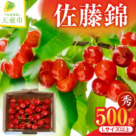 【ふるさと納税】 さくらんぼ ( 佐藤錦 ) 500g L以上 バラ 山形 先行予約 令和8年産 2026年産 チェリー サクランボ フルーツ 果物 くだもの 旬 数量限定 冷蔵 のし 贈答 ギフト プレゼント お取り寄せ 産地直送 送料無料 6月 【 山形県 天童市 】