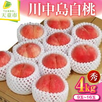 【ふるさと納税】 もも ( 川中島白桃 ) 約 4kg 秀 9玉〜16玉 ...