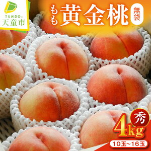 yӂ邳Ɣ[Łz (   )  4kg Gi ߘa8NY s\ 2026N   lC  t[c ʕ  R`  Yn  y R` Vs z