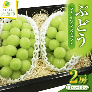 yӂ邳Ɣ[ŁzԂǂ ( VC}XJbg ) Iׂ 1[ / 2[ ߘa8NY s\ 2026N R`Y  ʕ t[c  ̂  Mtg v[g  H { Ԍ ①