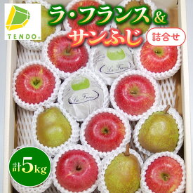 【ふるさと納税】【数量限定】ラ・フランス & サンふじ 詰合せ 5kg ふじ りんご ラフランス 洋梨 西洋梨 果物 フルーツ 秀 各 6玉 〜 9玉 ご家庭用 のし 贈答 ギフト プレゼント おすそ分け お取り寄せ 旬 秋 冬 期間限定 送料無料 先行予約 【 山形県 天童市 】