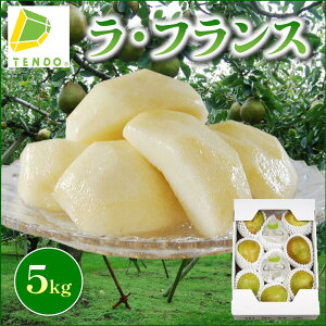 yӂ邳Ɣ[ŁzyʌzEtX 5kg G (6L`2L / 10`18) tX m m ʕ t[c ƒp ̂  Mtg v[g   { H ~ Ԍ 