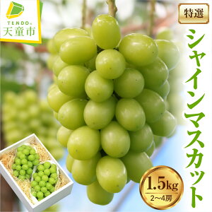 yӂ邳Ɣ[ŁzԂǂ ( I VC}XJbg ) 1.5kg Gi ߘa8NY s\ 2026N R`Y  ʕ t[c ̂  Mtg v[g  H { Ԍ ① 