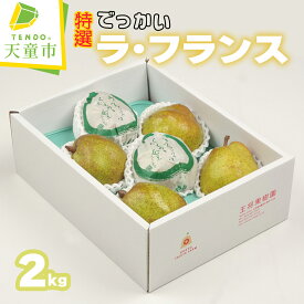 【ふるさと納税】 特選 でっかい ラ・フランス 2kg 秀 (厳選5～6玉) ラフランス 洋梨 西洋梨 果物 フルーツ 化粧紙包装 のし 贈答 ギフト プレゼント おすそ分け お取り寄せ 旬 秋 冬 期間限定 送料無料 先行予約 【 山形県 天童市 】