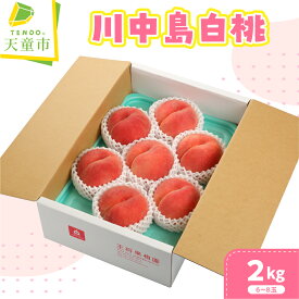 【ふるさと納税】もも ( 川中島白桃 ) 選べる 2kg / 4.5kg 秀品 令和8年産 先行予約 2026年 山形県産 桃 白桃 果物 フルーツ のし 贈答 ギフト おすそ分け 期間限定 冷蔵便 送料無料 産地直送 お取り寄せ 【 山形県 天童市 】