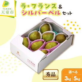 【ふるさと納税】 ラ・フランス & シルバーベル 詰合せ 選べる 3kg / 5kg 秀 ラフランス 洋なし 西洋梨 果物 フルーツ 家庭用 のし 贈答 ギフト プレゼント おすそ分け 食べ比べ セット お取り寄せ 旬 冬 期間限定 送料無料 先行予約 【 山形県 天童市 】
