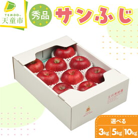 【ふるさと納税】 りんご ( サンふじ ) 選べる 3kg / 5kg / 10kg ふじ りんご 果物 フルーツ 秀 ご家庭用 のし 贈答 ギフト プレゼント おすそ分け お取り寄せ 旬 秋 冬 期間限定 送料無料 先行予約 【 山形県 天童市 】