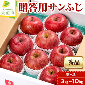 【ふるさと納税】 贈答用 サンふじ 選べる 3kg / 5kg / 10kg ふじ りんご リンゴ 果物 フルーツ 秀 のし 贈答 贈り物 ギフト プレゼント おすそ分け お取り寄せ 旬 秋 冬 期間限定 産地直送 送料無料 先行予約 【 山形県 天童市 】