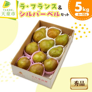 yӂ邳Ɣ[Łz EtX & Vo[x l Iׂ 3kg / 5kg G tX mȂ m ʕ t[c ƒp ̂  Mtg v[g  Hה Zbg 