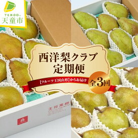 【ふるさと納税】 西洋梨クラブ ( 定期便 ) 全3回 令和8年産 先行予約 2026年 バラード ラフランス シルバーベル 3種類 各 3kg 洋なし 西洋梨 果物 フルーツ のし 贈答 ギフト プレゼント おすそ分け セット お取り寄せ 旬 秋 冬 送料無料 【 山形県 天童市 】