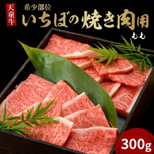 yӂ邳Ɣ[Łz V  !!   ēp (  ) 300g Y a  uh R`  TV ~ Ԑg  ƒp ̂  Mtg v[g  O 