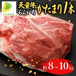 yӂ邳Ɣ[Łz V " 񂢂 " ܂ 1{ Ԑg vXe[L Y јa a  uh R` ƒp ̂  Mtg v[g  O Hi 