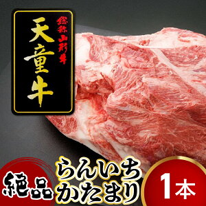 yӂ邳Ɣ[Łz V " 񂢂 " ܂ 1{ Ԑg vXe[L Y јa a  uh R` ƒp ̂  Mtg v[g  O Hi 