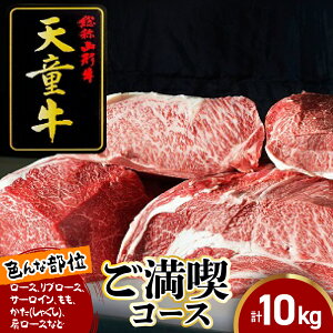 yӂ邳Ɣ[Łz V iR[X [X u[X T[C   ( Ⴍ ) [X Y јa a  uh R` ƒp ̂  Mtg v[g 