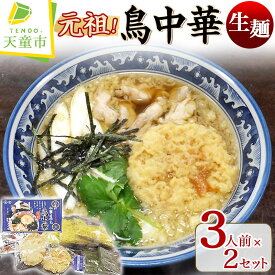 【ふるさと納税】 元祖 ! 鳥中華 ( 生麺 ) 生麺 中華麺 天ぷら 海苔 蕎麦屋 まかない 口コミ 裏メニュー 和風だし あっさり ご家庭用 のし 贈答 ギフト ご当地グルメ お取り寄せ グルメ 食品 送料無料 手打水車生そば 【 山形県 天童市 】