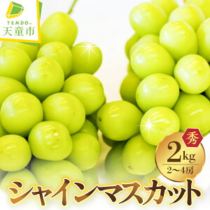 yӂ邳Ɣ[ŁzԂǂ ( VC}XJbg ) Iׂ 1[ / 2`4[ ߘa8NY s\ 2026N R`Y  ʕ t[c  ̂  Mtg v[g  H { Ԍ 