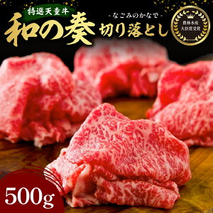 yӂ邳Ɣ[Łz _ѐYb܎ I V " ȃt " ؂藎Ƃ 500g Y јa a    o uh R` Ă Ⴊ Y ƒp ̂  
