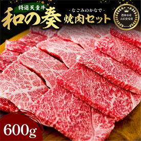 【ふるさと納税】 農林水産大臣賞受賞 特選 天童牛 " 和の奏 " 焼肉 セット 600g 国産 黒毛和牛 和牛 牛肉 ブランド牛 山形牛 肉 国産飼料 ご家庭用 のし 贈答 ギフト お取り寄せ グルメ 冷凍 送料無料 なごみ農産 【 山形県 天童市 】