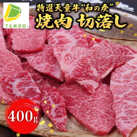 【ふるさと納税】 農林水産大臣賞受賞 特選 天童牛 " 和の奏 " 焼肉 切落し 400g国産 黒毛和牛 和牛 牛肉 ブランド牛 国産の餌のみで育てた 山形牛 肉 冷凍 ご家庭用 ギフト プレゼント 贈答用 お中元 お歳暮 お取り寄せ グルメ 食品 送料無料【 山形県 天童市 】