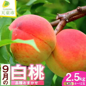 【ふるさと納税】 もも 9月 の 白桃 2.5kg 品種おまかせ 秀 先行予約 令和8年産 2026年産 桃 ピーチ peach フルーツ 果物 くだもの デザート 夏 旬 川中島白桃 だて白桃 ご家庭用 のし 贈答 ギフト プレゼント お取り寄せグルメ 山形 産地直送 送料無料 【 山形県 天童市 】