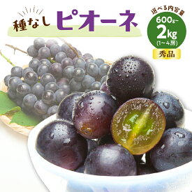 【ふるさと納税】ぶどう ( 種なし ピオーネ ) 選べる 約 600g / 1.2kg / 2kg 令和8年産 先行予約 2026年 山形県産 葡萄 果物 フルーツ 秀品 のし 贈答 ギフト プレゼント おすそ分け 秋 旬 期間限定 冷蔵便 送料無料 産地直送 お取り寄せ 【 山形県 天童市 】