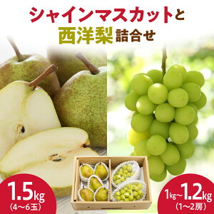 yӂ邳Ɣ[ŁzVC}XJbg  m l 2.5kg ߘa8NY s\ 2026N Ԃǂ Ȃ  lC  t[c ʕ  R`  Yn  y R`