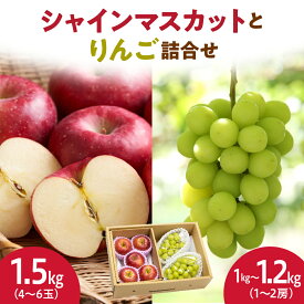 【ふるさと納税】シャインマスカット と りんご 詰合せ 2.5kg 令和8年産 先行予約 2026年 ぶどう 林檎 人気 おすすめ フルーツ 果物 くだもの 山形 お取り寄せ 産地直送 送料無料 【 山形県 天童市 】