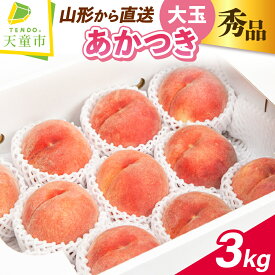 【ふるさと納税】 もも ( 大玉 あかつき ) 約 3kg 秀品 6〜11玉 令和8年産 先行予約 2026年 山形県産 桃 白桃 果物 フルーツ のし 贈答 ギフト おすそ分け 期間限定 冷蔵便 送料無料 【 山形県 天童市 】