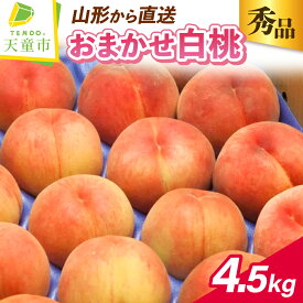 【ふるさと納税】もも ( おまかせ 白桃 ) 4.5kg 秀品 令和8年産 先行予約 2026年 桃 白桃 人気 おすすめ フルーツ 果物 くだもの 山形 お取り寄せ 産地直送 送料無料 【 山形県 天童市 】