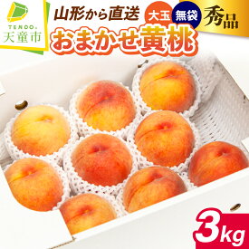 【ふるさと納税】もも ( 大玉 黄桃 ・ 無袋 ) 約 3kg 秀 6～11玉 品種おまかせ 令和8年産 先行予約 2026年 桃 黄色 人気 おすすめ フルーツ 果物 くだもの 山形 お取り寄せ 産地直送 送料無料 【 山形県 天童市 】