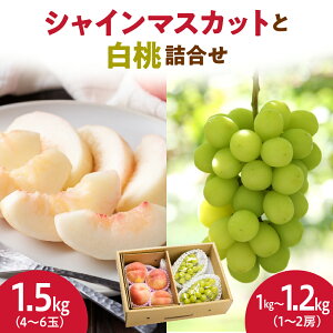 yӂ邳Ɣ[ŁzVC}XJbg   l 2.5kg ߘa8NY s\ 2026N Ԃǂ  lC  t[c ʕ  R`  Hה Yn  y R`