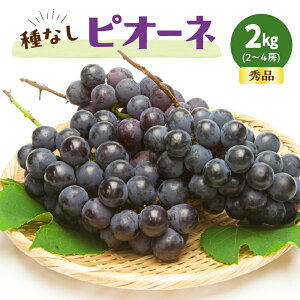 yӂ邳Ɣ[ŁzԂǂ ( Ȃ sI[l ) Iׂ  600g / 1.2kg / 2kg ߘa8NY s\ 2026N R`Y  ʕ t[c Gi ̂  Mtg v[g  H { Ԍ 