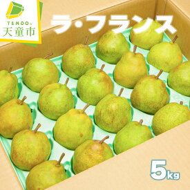 【ふるさと納税】 ラ・フランス 5kg 秀 (8～20玉) ラフランス 洋梨 西洋梨 果物 フルーツ ご家庭用 のし 贈答 ギフト プレゼント おすそ分け お取り寄せ 旬 秋 冬 期間限定 送料無料 先行予約 【 山形県 天童市 】
