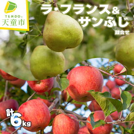 【ふるさと納税】 ラ・フランス & サンふじ 詰合せ 選べる 3kg / 6kg ラフランス 洋梨 西洋梨 ふじ りんご 果物 フルーツ セット 秀 のし 贈答 ギフト プレゼント おすそ分け お取り寄せ 旬 秋 冬 期間限定 送料無料 先行予約 【 山形県 天童市 】