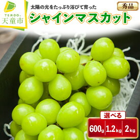 【ふるさと納税】 ぶどう ( シャインマスカット ) 約600g / 1.2kg / 2kg 令和8年産 先行予約 2026年 山形県産 葡萄 果物 フルーツ 秀品 のし 贈答 ギフト プレゼント おすそ分け 秋 旬 期間限定 冷蔵便 送料無料 産地直送 お取り寄せ 【 山形県 天童市 】