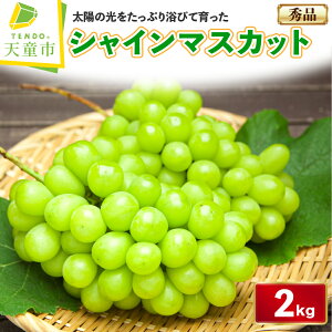 yӂ邳Ɣ[Łz Ԃǂ ( VC}XJbg ) 600g / 1.2kg / 2kg R`Y Ԃǂ uhE  ʕ t[c Gi 1[;600`800g ƒp ̂  Mtg v[g  { H 