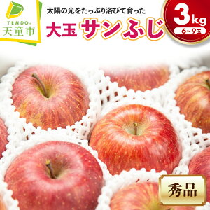 yӂ邳Ɣ[Łz   ( Tӂ ) 3kg ӂ S ʕ t[c G ̂  Mtg v[g   Ԍ  s\ y R` Vs z