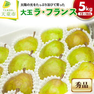 yӂ邳Ɣ[Łz  EtX Iׂ 2kg / 5kg G ( 2L 5`6 / 5L 12`16) tX m m ʕ t[c ̂  Mtg v[g   { H ~ 