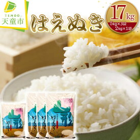 【ふるさと納税】 はえぬき 選べる内容量 10kg / 2kg×5袋　17kg / 5kg×3袋、2kg×1袋令和5年産 米 コメ こめ お米 精米 ブランド米 食べ比べ ごはん 白米 ご飯 おにぎり 弁当 おすそ分け 2kg 5kg ずつ 小分け 便利 お取り寄せ 食品 送料無料 【 山形県 天童市 】