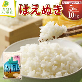 【ふるさと納税】 はえぬき 選べる 5kg / 10kg 令和7年産 米 2025年 コメ こめ おこめ 精米 ブランド米 ごはん 白米 おにぎり 弁当 5kg 袋 お取り寄せ 産地直送 送料無料 【 山形県 天童市 】