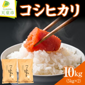yӂ邳Ɣ[Łz RVqJ Iׂ 5kg / 10kg ߘa7NY  V 2025N R    ʍ͔| uh ͂   ɂ ٓ 5kg   ֗  
