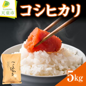 【ふるさと納税】 コシヒカリ 選べる内容量 5kg 10kg 15kg 令和6年産 米 コメ こめ おこめ 精米 特別栽培米 ブランド米 ごはん 白米 ご飯 おにぎり 弁当 5kg 袋 小分け 便利 おすそ分け お取り寄せ 食品 送料無料 【 山形県 天童市 】