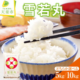 【ふるさと納税】 雪若丸 選べる 5kg / 10kg 令和7年産 米 2025年 コメ こめ おこめ お米 精米 ブランド米 ごはん 白米 ご飯 おにぎり 弁当 5kg袋 お取り寄せ 食品 産地直送 送料無料 【 山形県 天童市 】