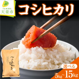 【ふるさと納税】 コシヒカリ 選べる 5kg / 10kg / 15kg 令和7年産 米 2025年 コメ こめ おこめ 精米 特別栽培米 ブランド米 ごはん 白米 ご飯 5kg 袋 小分け 便利 お取り寄せ 食品 産地直送 送料無料 【 山形県 天童市 】