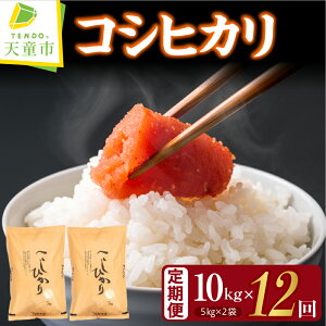 �y�ӂ邳�Ɣ[�Łz ���ʍ͔|�� �R�V�q�J�� 12�� ����� �y�I�ׂ�z���� 5kg ( 5kg × 1�� ) / 10kg ( 5kg × 2�� ) �ߘa7�N�Y 2025�N �N�� �� �R�� ���� ���� �u�����h�� ���_��͔| ���� ���� ���ɂ��� ��