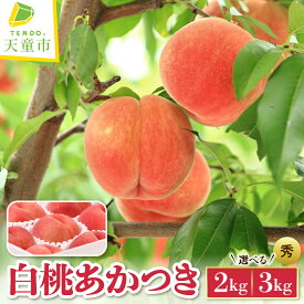 【ふるさと納税】 もも ( あかつき ) 選べる 2kg / 3kg 秀品 令和8年産 先行予約 2026年 山形県産 桃 白桃 果物 フルーツ のし 贈答 ギフト おすそ分け 期間限定 常温便 冷蔵便 送料無料 【 山形県 天童市 】