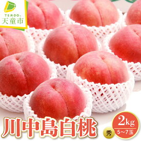 【ふるさと納税】もも ( 川中島白桃 ) 2kg / 3kg 山形県産 桃 白桃 果物 フルーツ 秀品 2kg 5～7玉 / 3kg 8～12玉 ご家庭用 のし 贈答 ギフト おすそ分け 旬 夏 秋 期間限定 常温便 または 冷蔵便 送料無料 先行予約 【 山形県 天童市 】