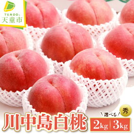 【ふるさと納税】もも ( 川中島白桃 ) 選べる 2kg / 3kg 秀品 令和8年産 先行予約 2026年 山形県産 桃 白桃 果物 フルーツ のし 贈答 ギフト おすそ分け 期間限定 常温便 または 冷蔵便 送料無料 【 山形県 天童市 】