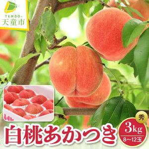 yӂ邳Ɣ[Łz  (  ) Iׂ 2kg / 3kg Gi ߘa8NY s\ 2026N R`Y   ʕ t[c ̂  Mtg  Ԍ 퉷 ①  y R` 